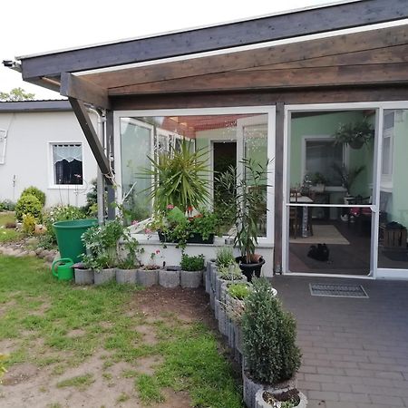Ferienwohnung Zur Alten Schule Pritzwalk Kültér fotó